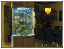 Цилиндрический рифовый аквариум, с искусственными беспозвоночными, заселенный небольшими рыбками